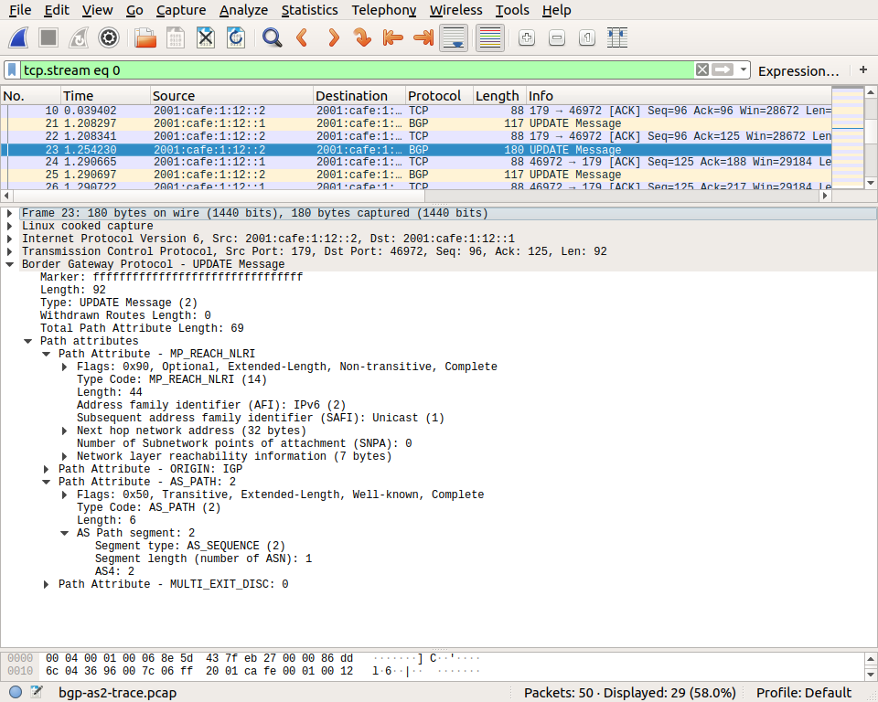 ../_images/bgp-packet2.png