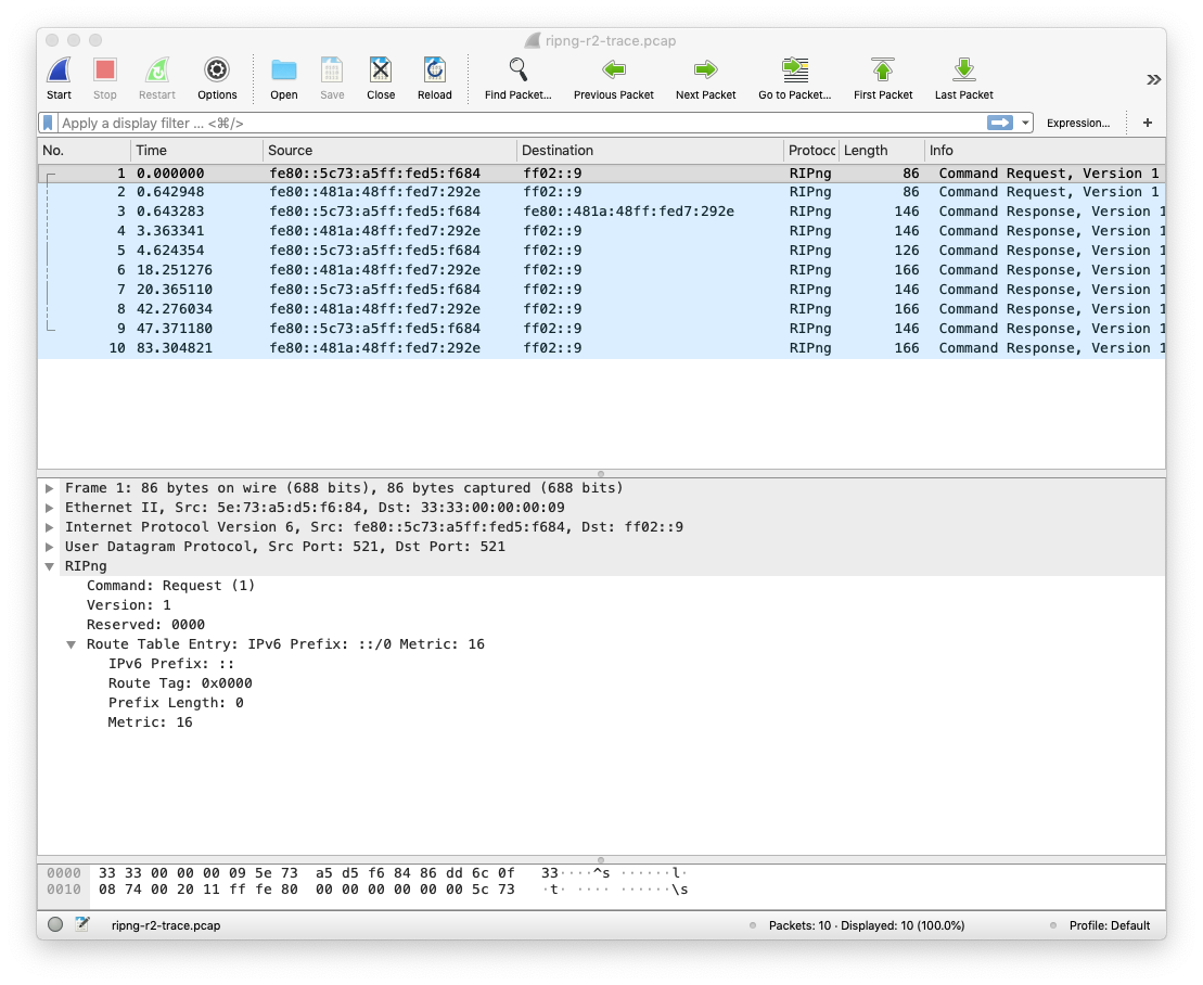 ../_images/ripng-packet1.png